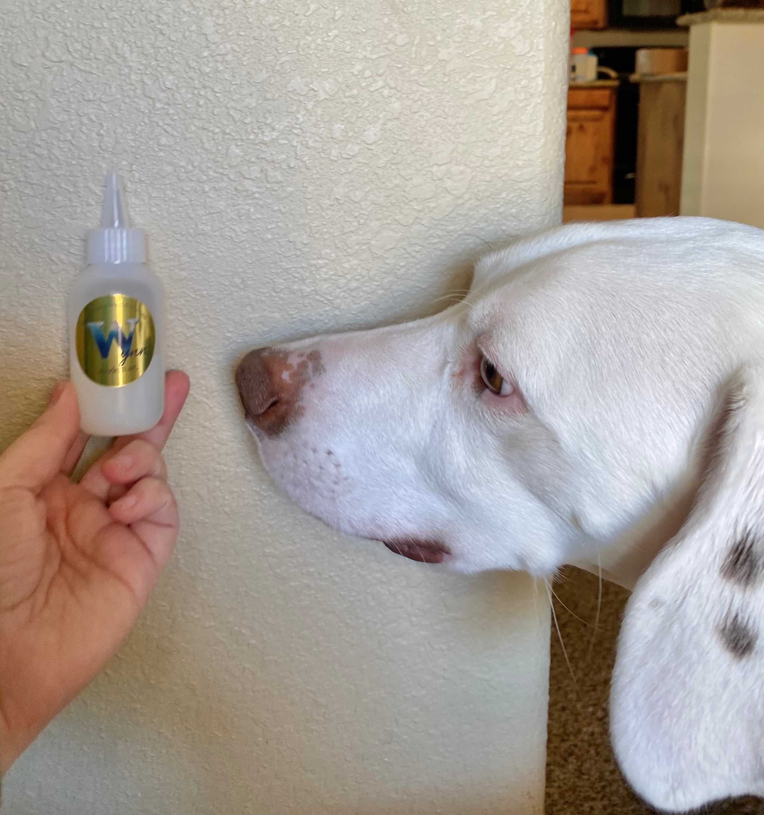 LUXE WaterFX Gloss Mini (2oz)