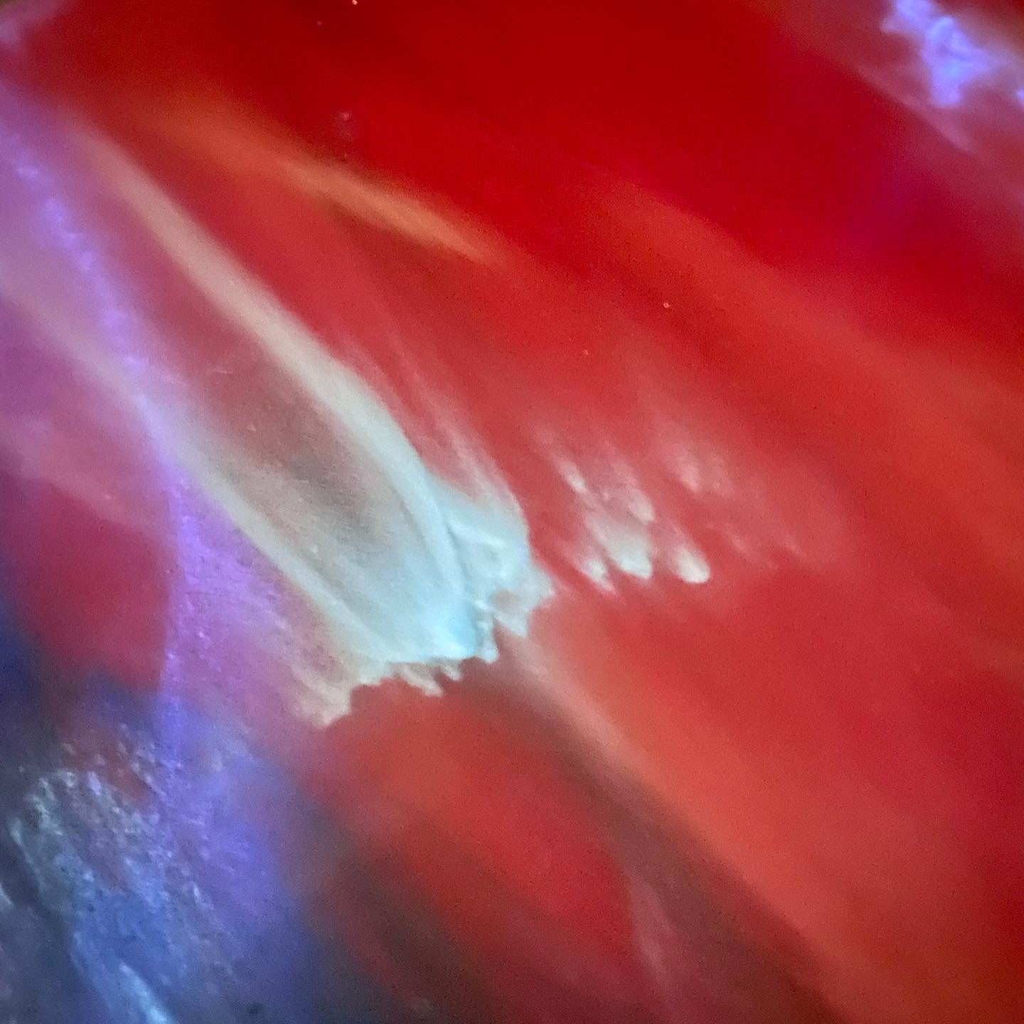 Sparkling Glow Bundle | 5 pc. | Full Size