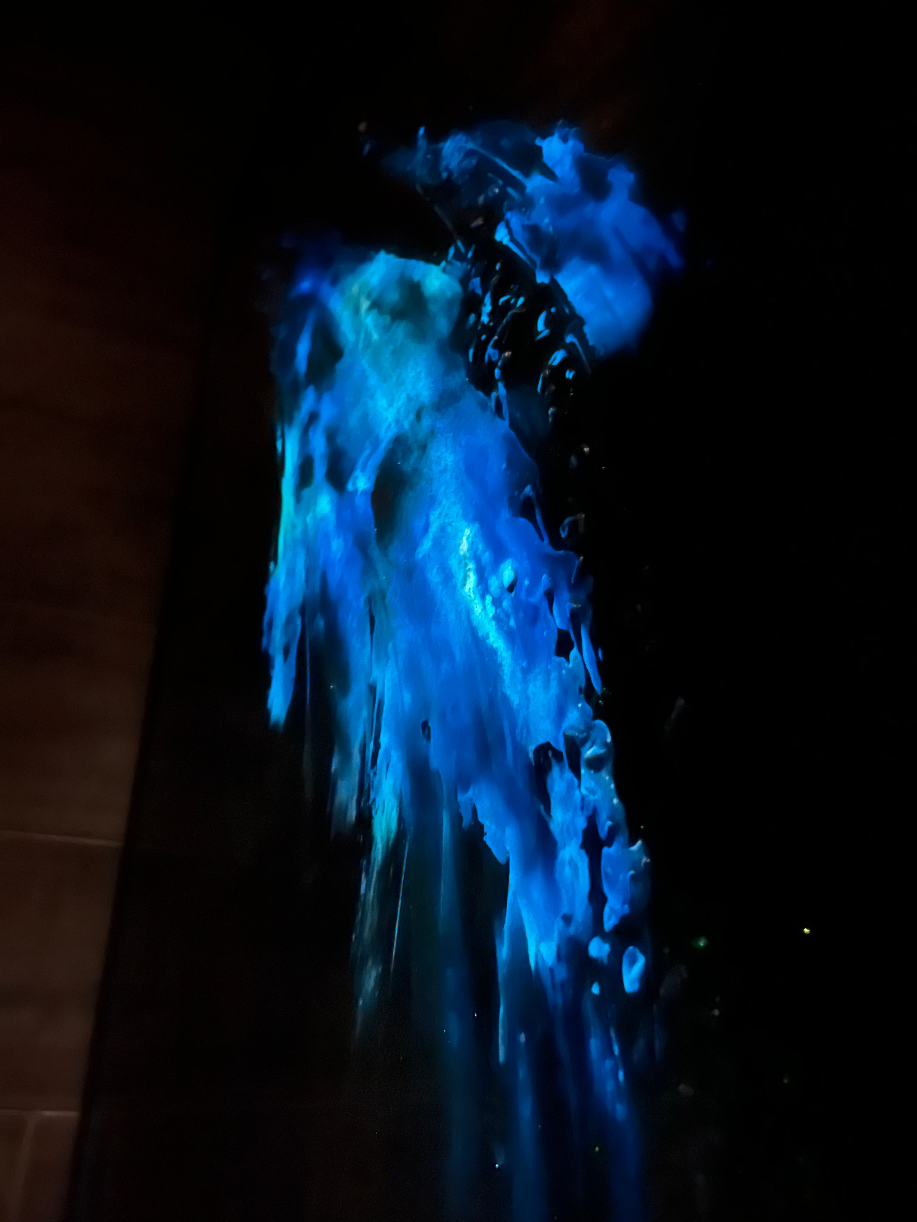 “Walk With Me” Glowing Art (4ft. x 5ft.)