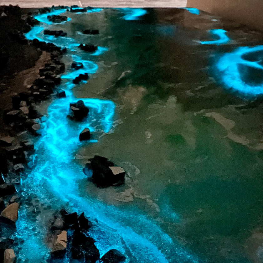 Sparkling Glow Powder (Bio Lume)