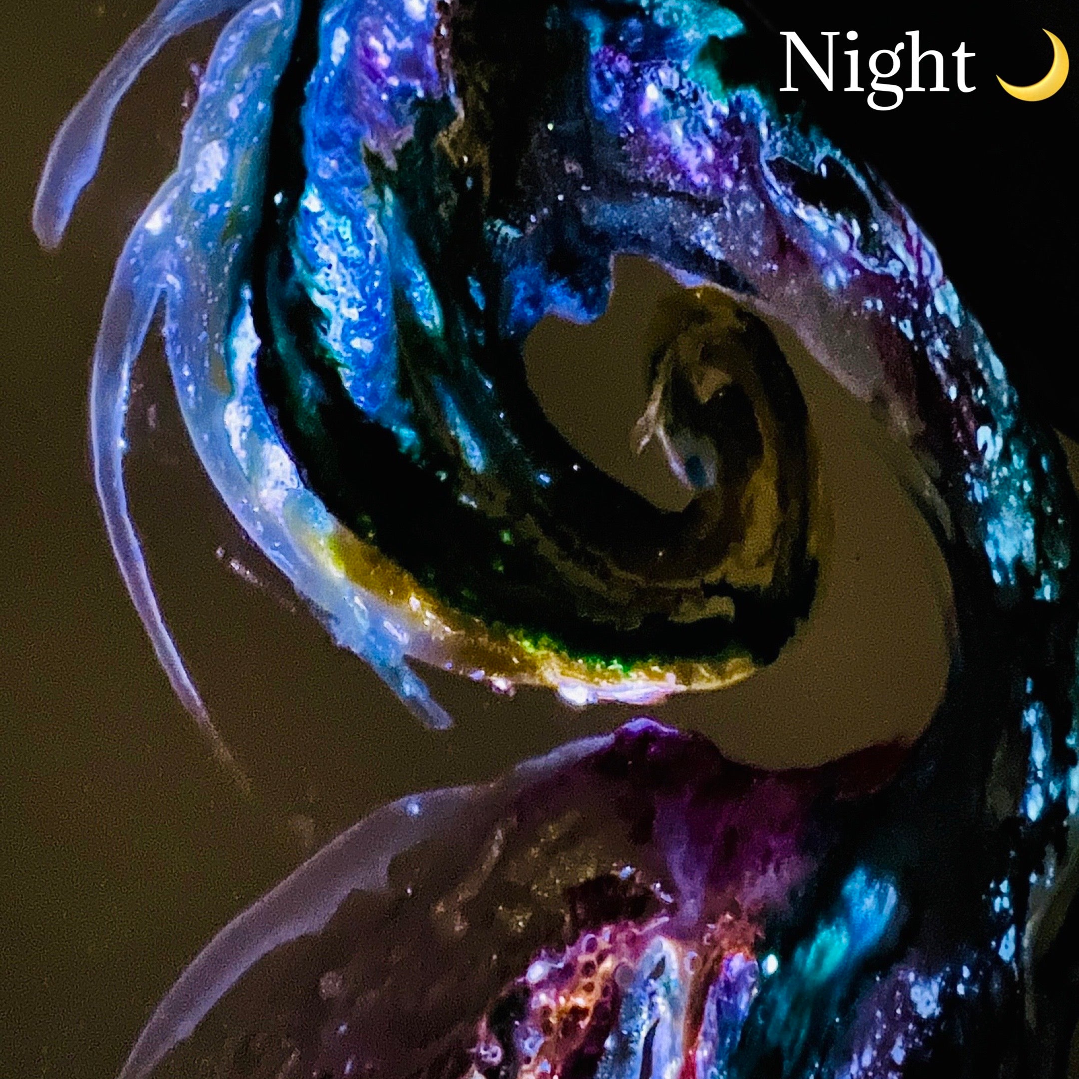 “Waves At Sunrise” Collection (By Victoria Wynn)