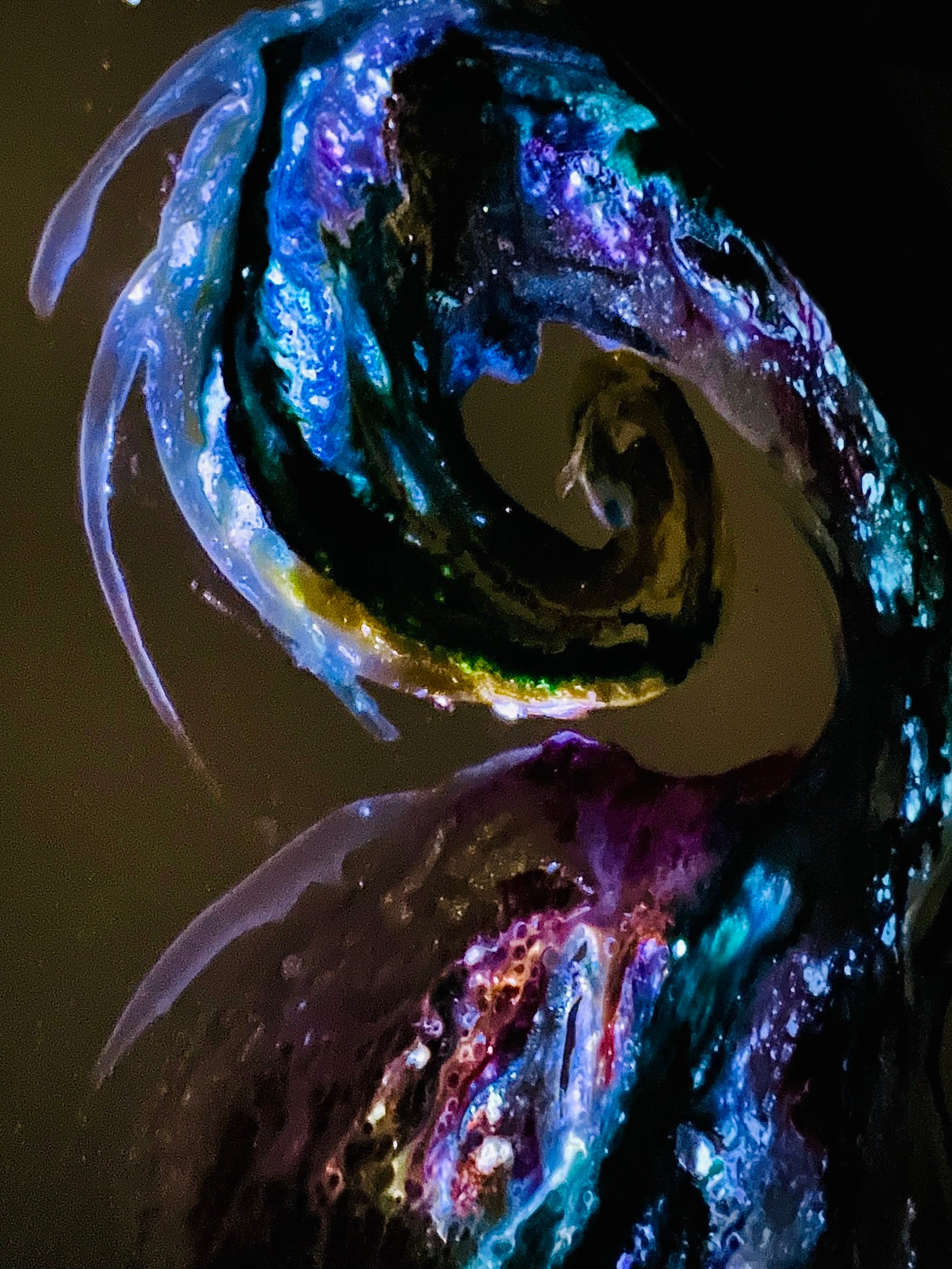 Sparkling Glow Powder (Moon Dust)