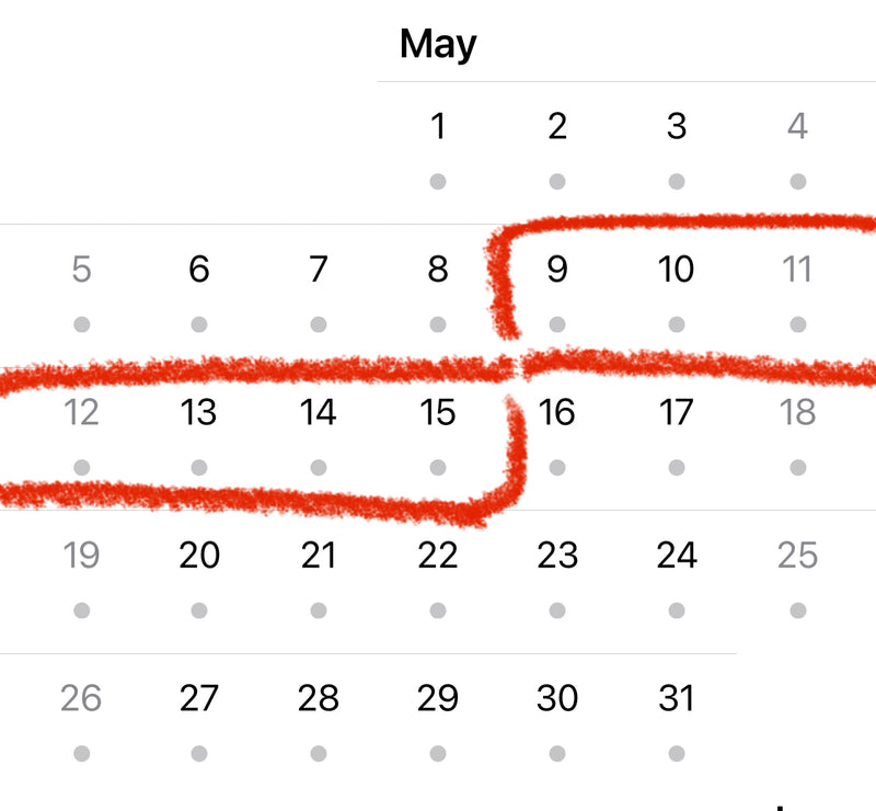 Utah Bound! May 2024 Art, Music & Food Retreat