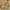 SAMPLE SIZE: Copper Leaf Flakes (Multi- Color)