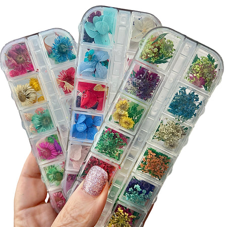 Petite Dried Flowers (300+ pcs.) + Free LUXE Sample Powder