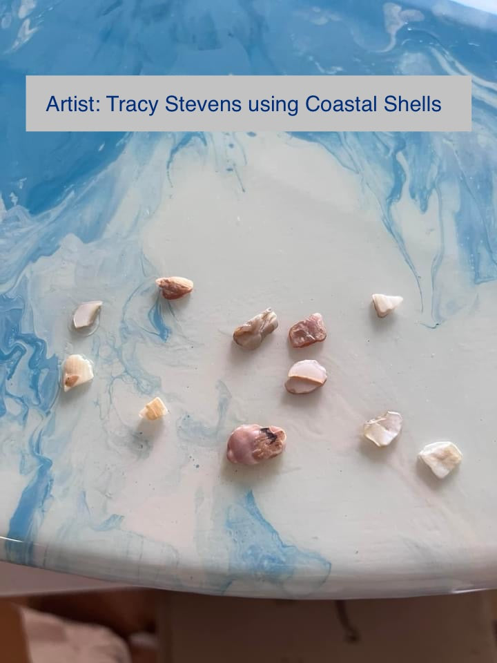 Coastal Shell Chips