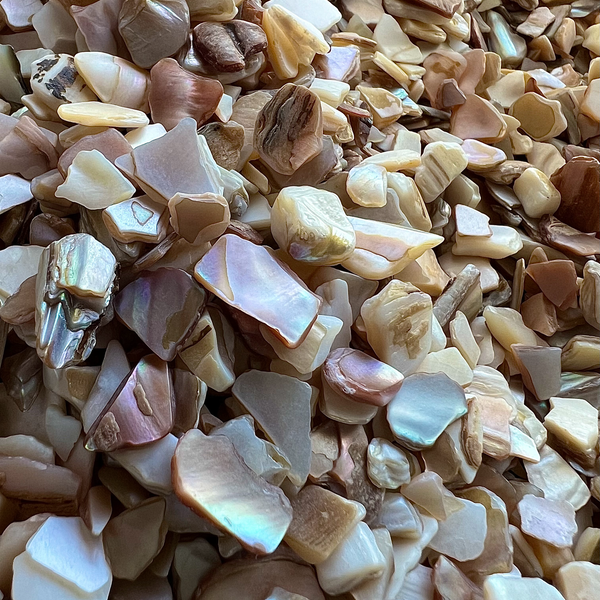 (Save 40%) Coastal Shell Chips