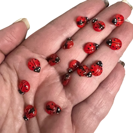 Lucky Ladybugs (15 pcs.)