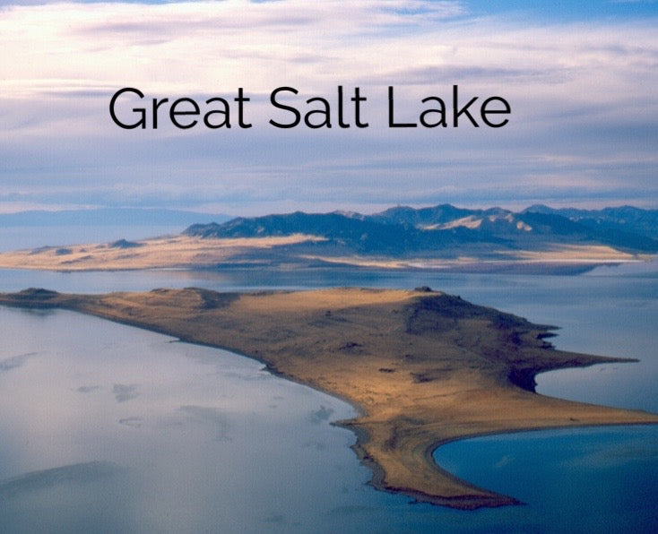 Utah Bound! May 2024 Art, Music & Food Retreat