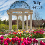 Utah Bound! May 2024 Art, Music & Food Retreat