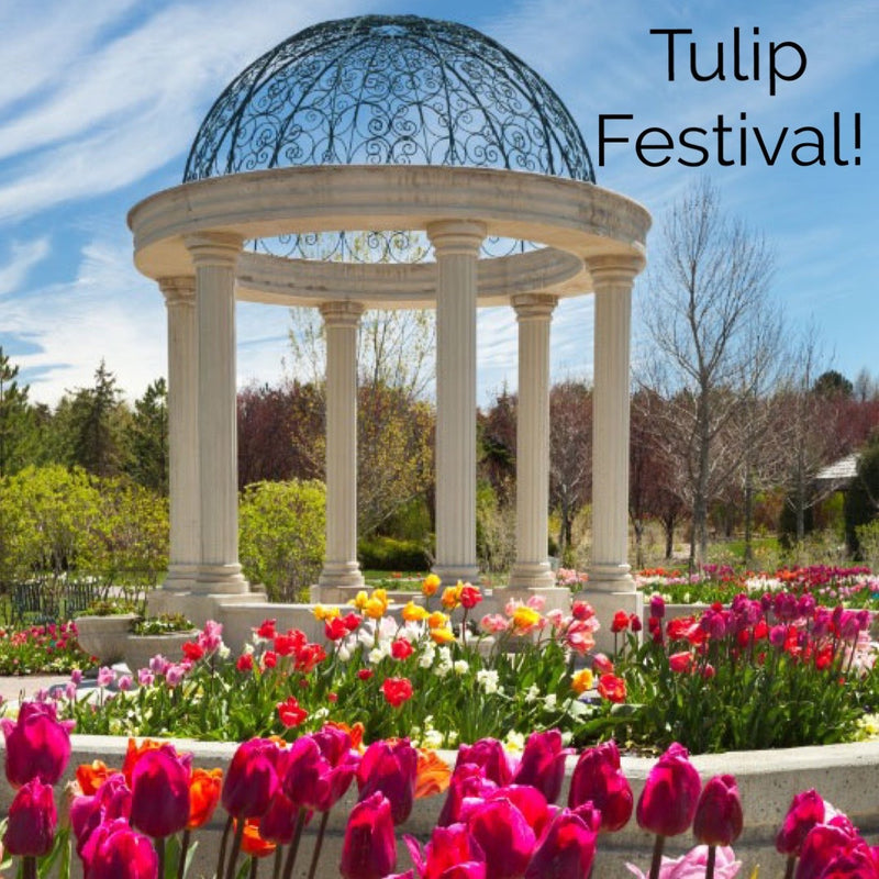 Utah Bound! May 2024 Art, Music & Food Retreat