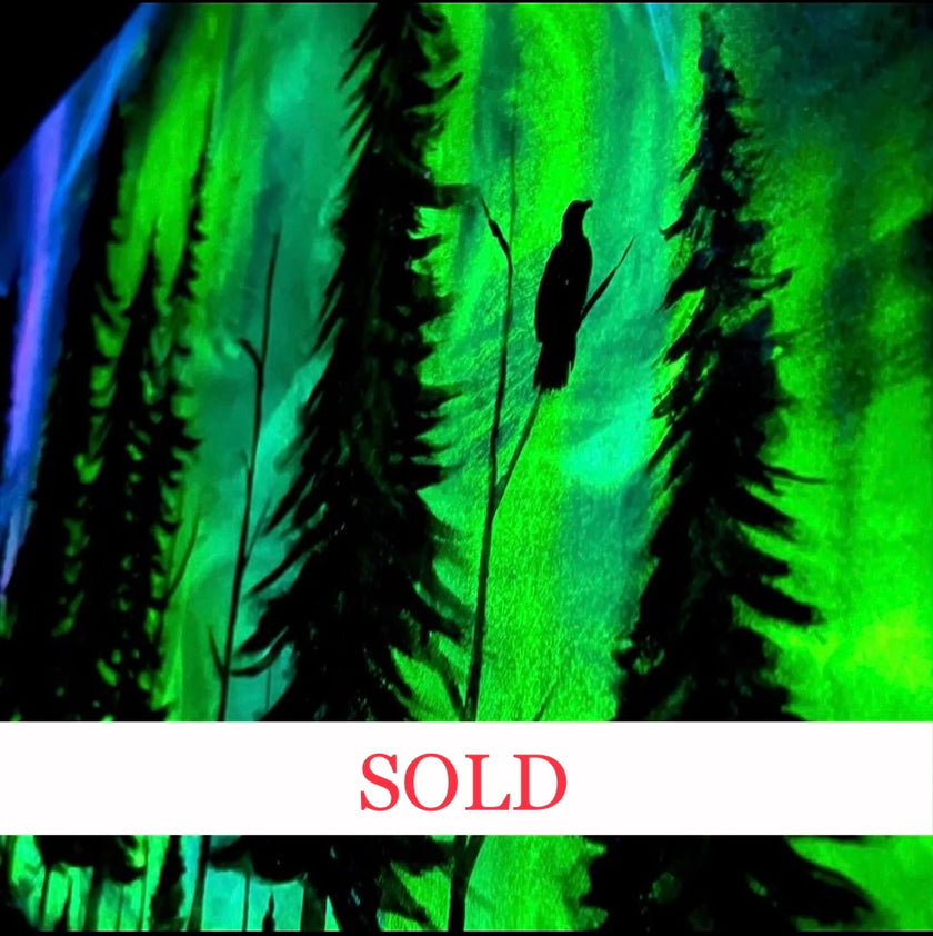 SOLD “Alaska Sky” Glowing Canvas (2ft. x 4ft.)