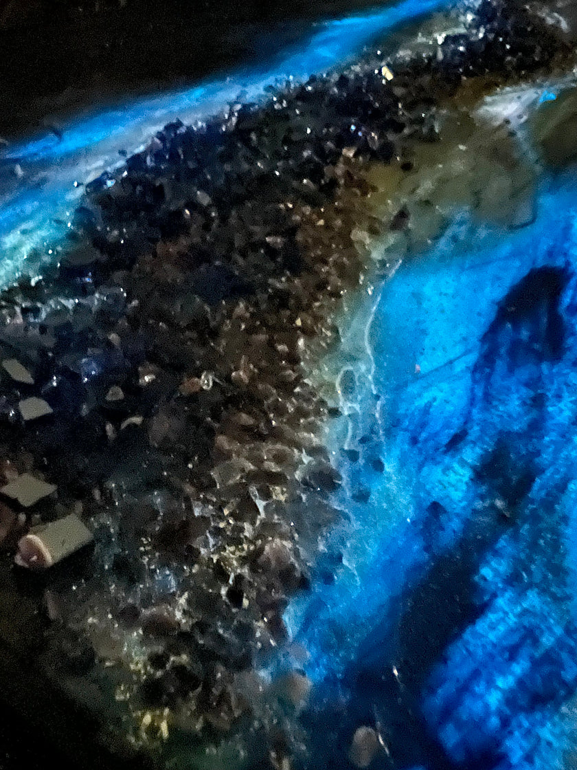 Glow Babies (Sparkling Powder Samples)