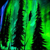 Sparkling Glow Powder (Aurora)