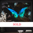 SOLD “She’s Free” Glowing Canvas