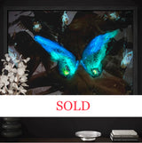 SOLD “She’s Free” Glowing Canvas