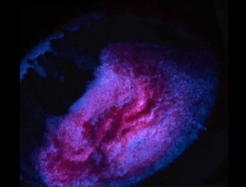 Glow Babies (Sparkling Powder Samples)