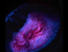 Glow Babies (Sparkling Powder Samples)