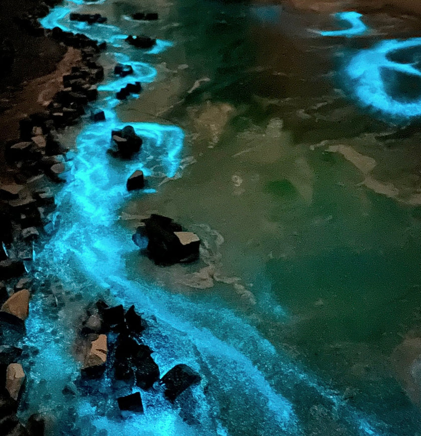 “Cliffs Of Life” (26” x 38”)