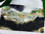Bio-Luminescent Abalone Seascape (16” x 20”)