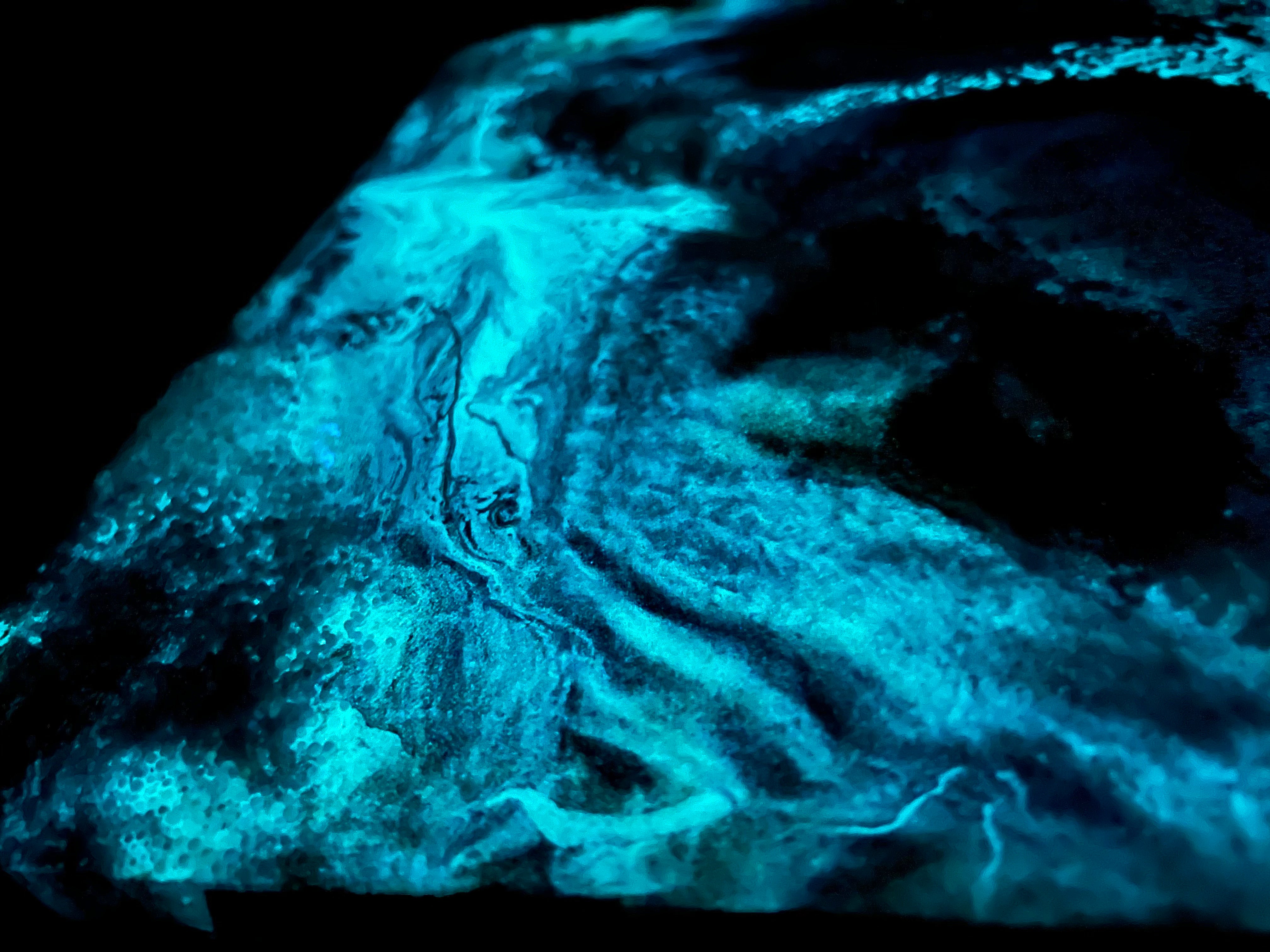LUXE Glow Tint for Art (Belize Blue) – WYNN modern art.